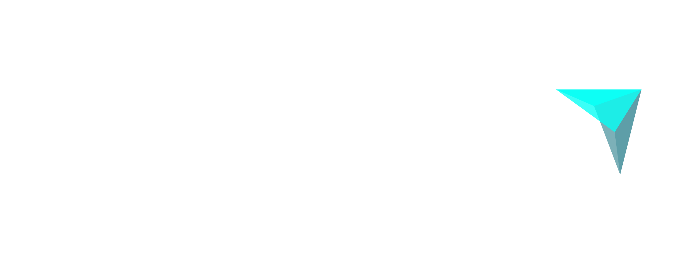 logo Driven Consulting Data Driven